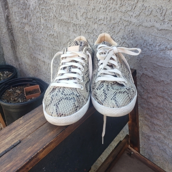 Puma Womens MATCH ANIMAL‎ Sneakers - Picture 12 of 13